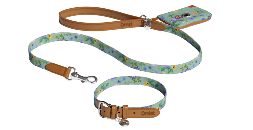 Designer halsband en riem voor honden