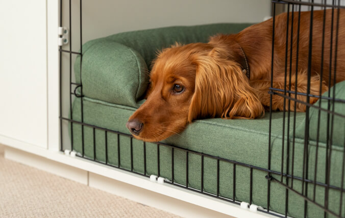 long Beperken Darmen Fido Studio hondenbench | Omlet