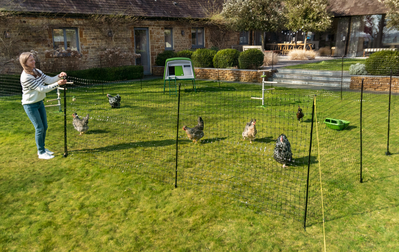 George Eliot binnenplaats Tapijt Omlet afrastering voor kippen | Pluimveenetten voor kippen | Omlet