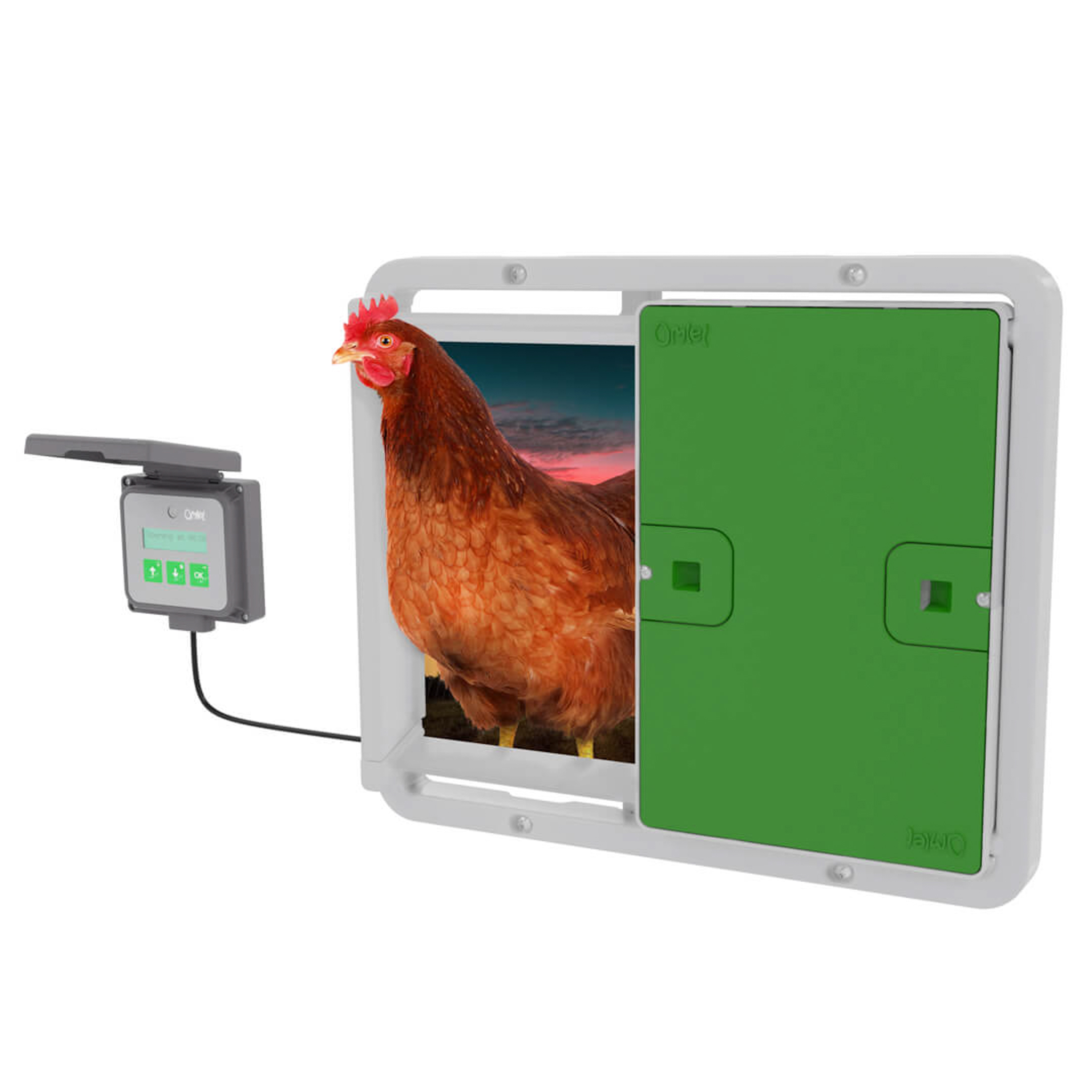timer mooi zo Uitrusting Automatische deuropener voor kippenhok | Omlet