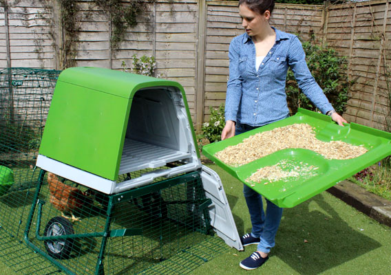 Geitenhok Tuin Kippenhok Tuin Kippen Houden En Dieren