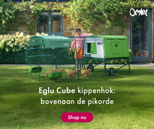 Omlet Eglu Cube kippenhok met ren