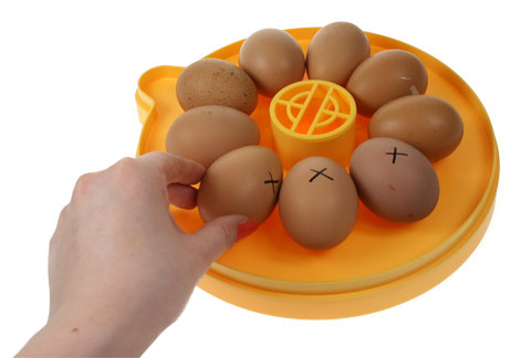 Aftrekken kwaad Onveilig Het handmatig draaien van eieren in een broedmachine | Broeden | Uitbroeden