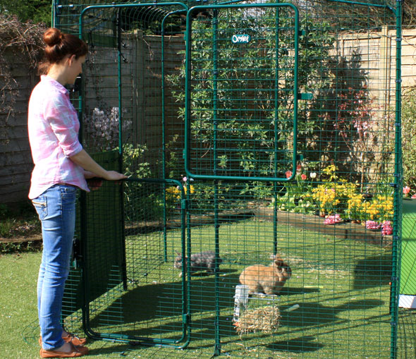 Inloopren voor konijnen omheining voor konijnen | Omlet