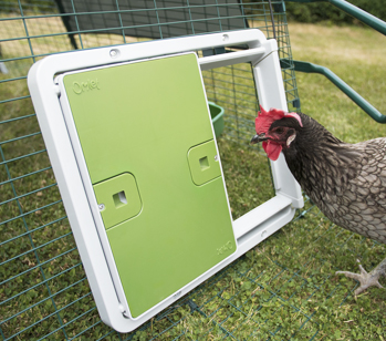baseren Sportschool Ritmisch Automatische deuropener voor kippenhok | Omlet