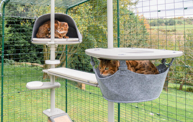 Legacy Bijwerken Suradam Freestyle Outdoor kattenpaal - zelf samen te stellen klimrek voor katten |  Omlet
